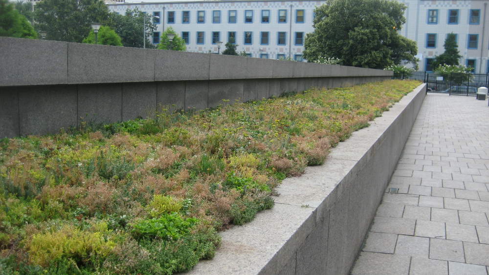 U.S. Tax Court Green Roof After Establishment